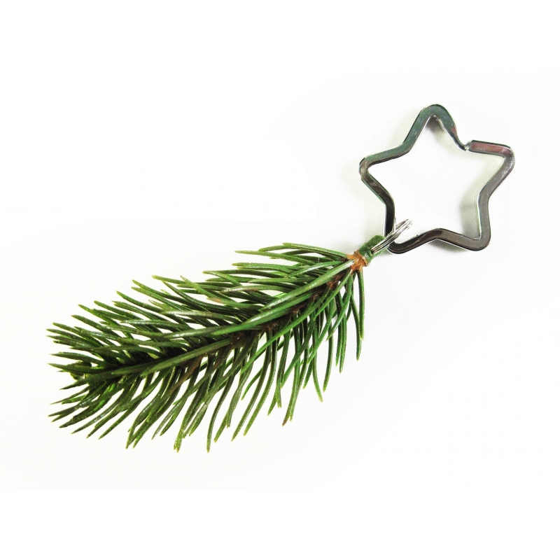 Tannenzweig Schlüsselanhänger für Weihnachten mit Stern Schlüsselring