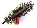 Weihnachts Haarspange mit Tannenzweig und Weihnachtsdeko UNIKAT - Weihnachten Haarschmuck