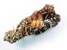 Weihnachts Haarspange mit Rinde und Weihnachtsdeko UNIKAT - Weihnachten Haarschmuck