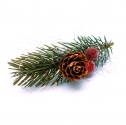 Grün rote Weihnachts Haarspange mit Tannenzweig - Haarschmuck